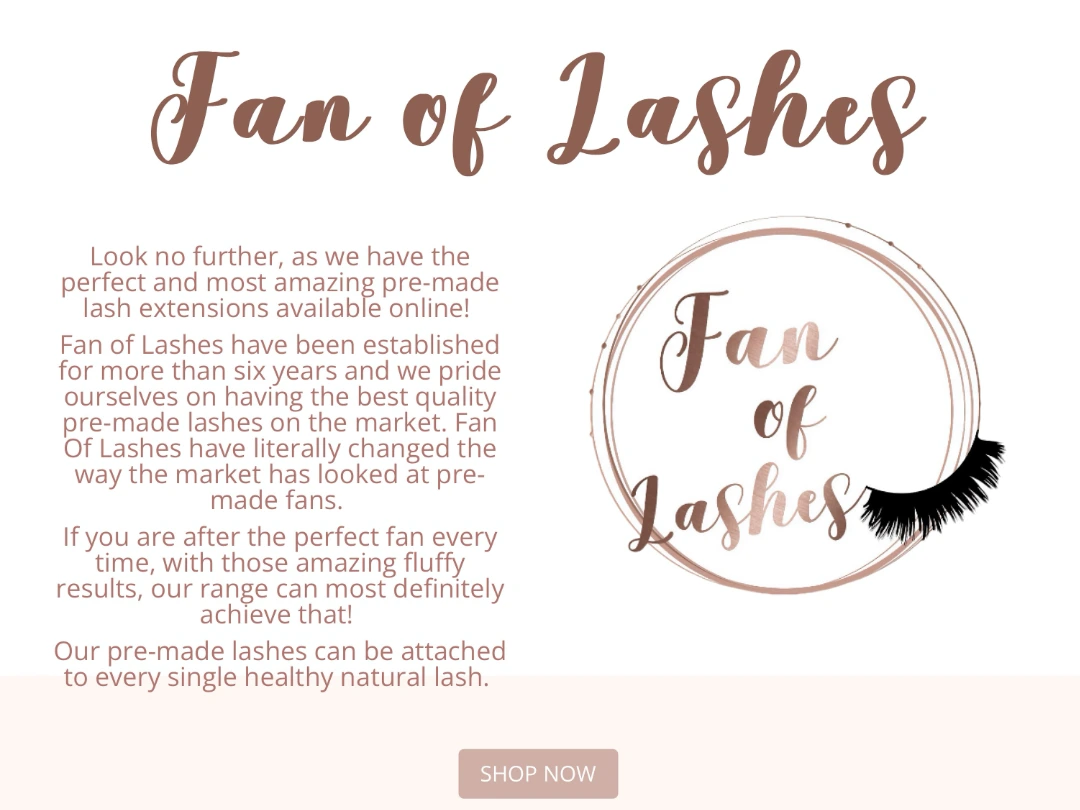 Fan_of_Lashes_BI_4x3_1080 Fan of Lashes screenshot